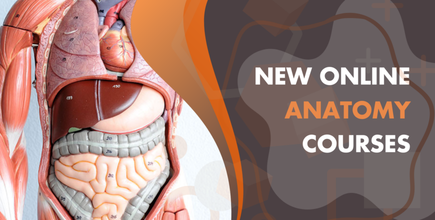 Anatomy Online Courses.png